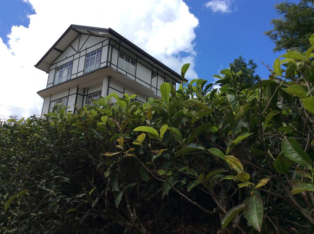 Tealeaf Nuwara Eliya Exterior photo