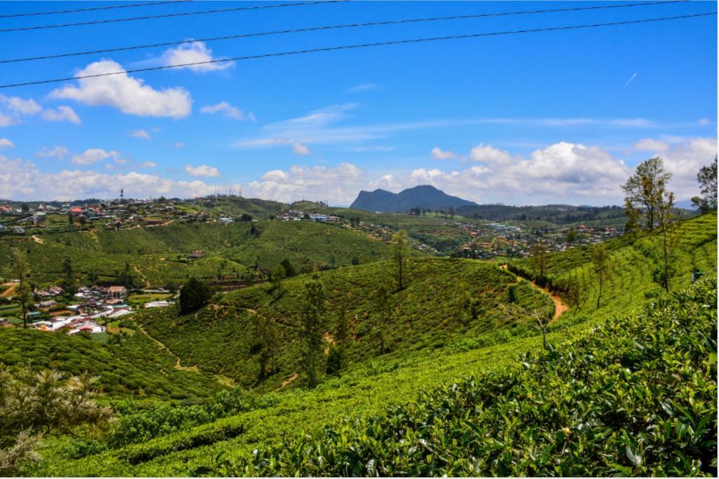 Tealeaf Nuwara Eliya Exterior photo