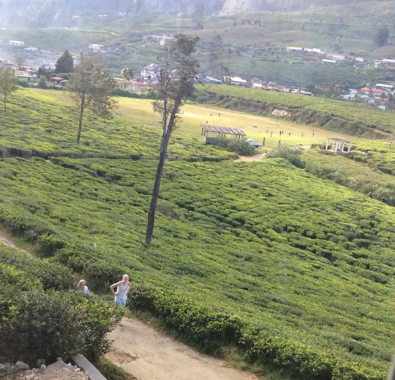 Tealeaf Nuwara Eliya Exterior photo