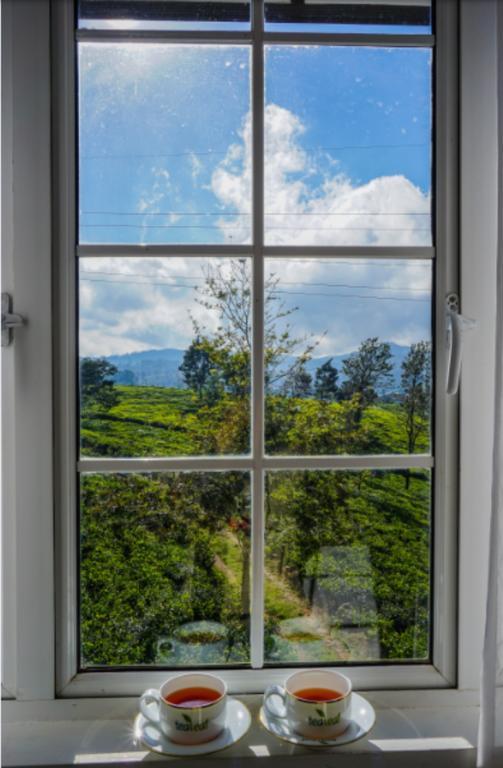 Tealeaf Nuwara Eliya Exterior photo